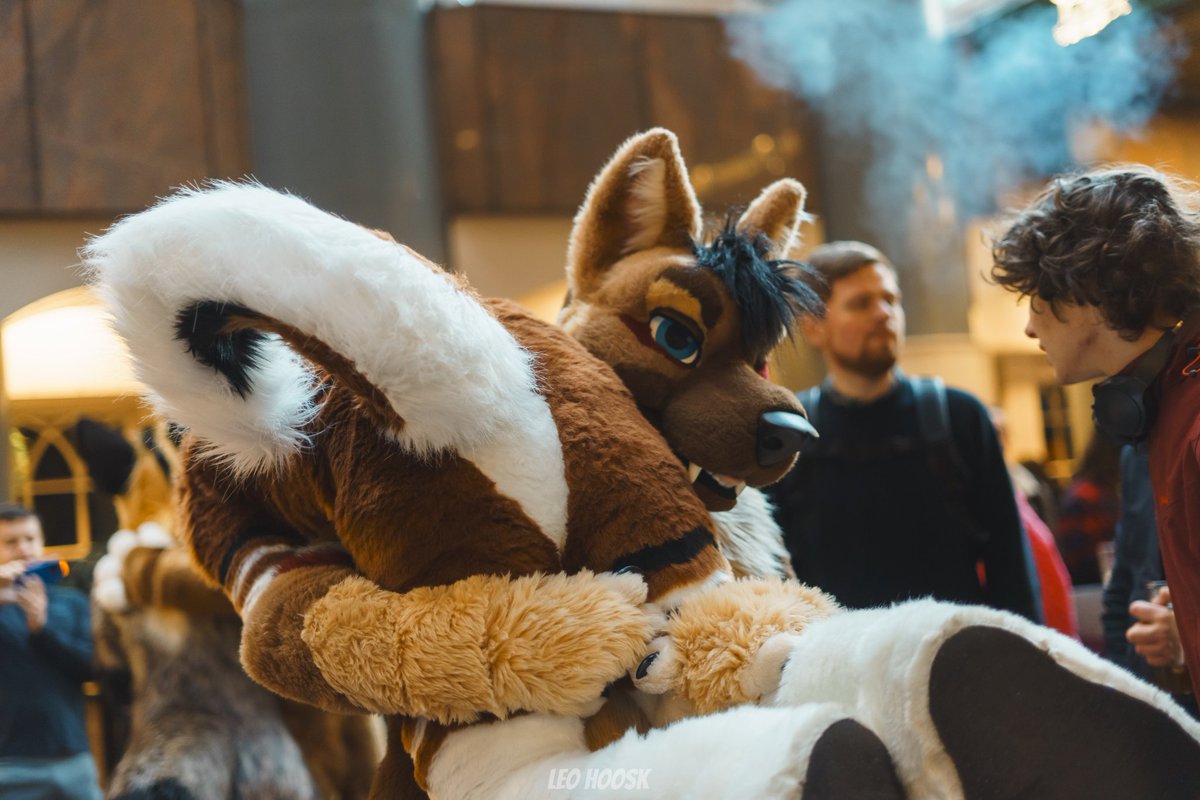 How to deal with curls, almost too easy 😏

 🐺 <a href="/LeoHoosk/">Leo!</a> 

#fursuitfriday