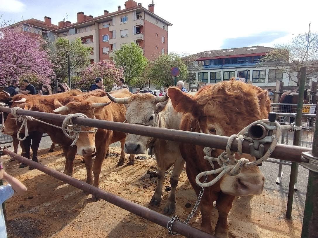 Hoy Proteccion civil a estado en el viernes de dolores y colaborando con Policía Municipal en le itzulia