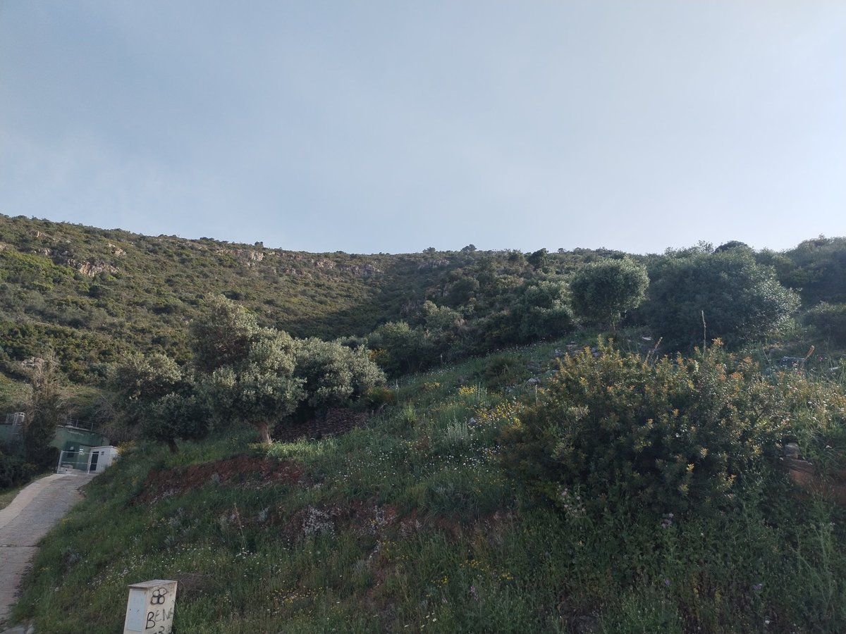 MagesDyC's tweet photo. #amazon #vistas #Malaga https://t.co/ff4FvJ362H