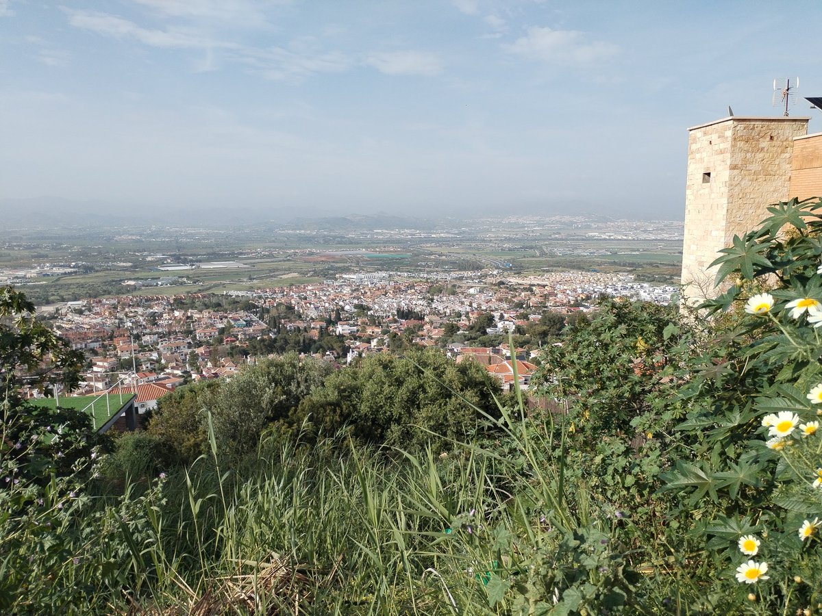 MagesDyC's tweet photo. #amazon #vistas #Malaga https://t.co/ff4FvJ362H
