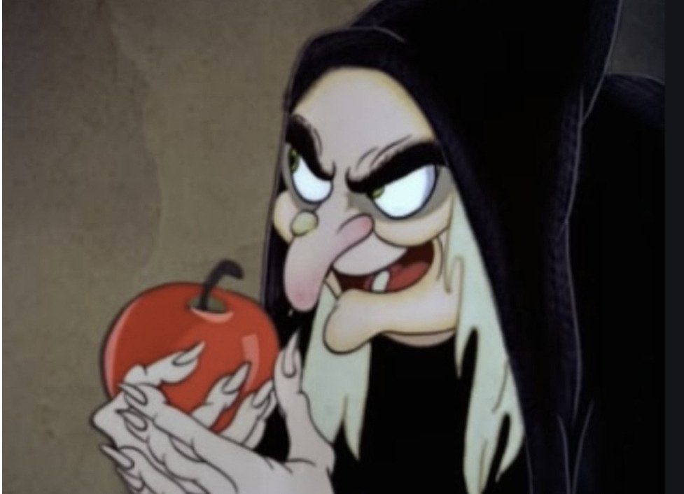 ozwizard tweet media