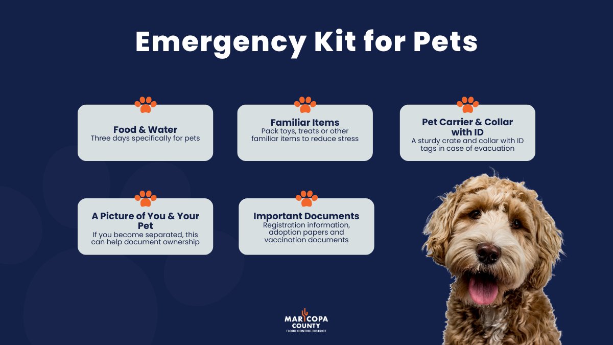 maricopaflood's tweet image. Don’t forget your pets in an emergency! Pack their kit:

📦 Food &amp;amp; water for 7 days
💊 Meds &amp;amp; records
🏷️ ID tags + recent photos
🦴 Comfort items
📷 A picture of you and your pet

Find a list of what you should include in an emergency kit at maricopa.gov/693/Storm-Prep…