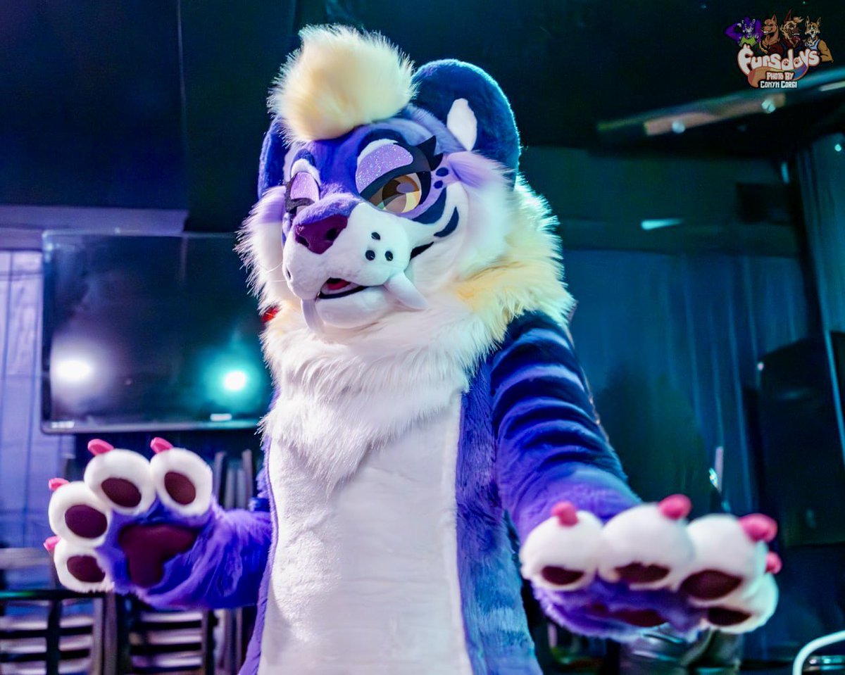 diva behavior 💅✨#FursuitFriday
who am i seeing at #AnthrOhio next week? 😋
📷: <a href="/ConynCorgi/">Conyn</a> 
#furry #furries #fursuit #fursuiter