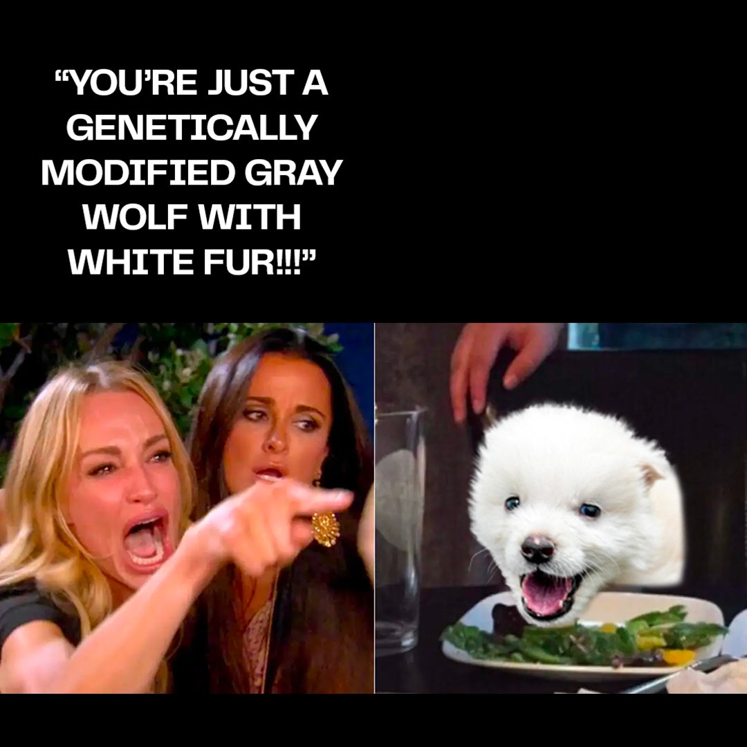Dire wolf meme thread 🐺🧵 GET IN HERE 👇