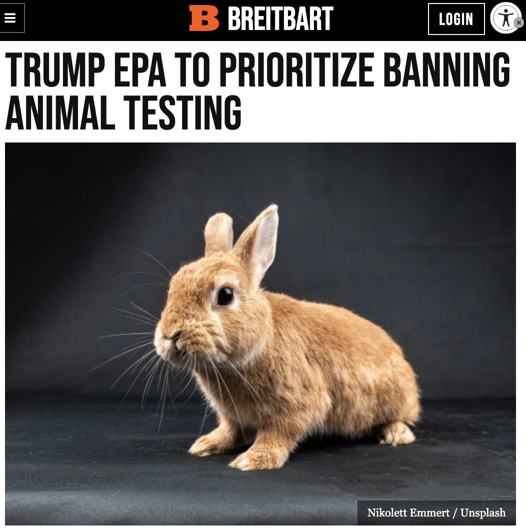 WhiteCoatWaste's tweet photo. "Taxpayer watchdog White Coat Waste Project— which has blown the lid off of cruel animal experiments conducted with taxpayer funds throughout the years — is praising the EPA’s renewed effort"
📰Trump EPA to Prioritize Banning Animal Testing
by @hannahbleau_ @BreitbartNews
President Donald Trump’s Environmental Protection Agency (@EPA), under the direction of Administrator @epaleezeldin, is planning to roll back animal testing.
An agency spokesperson informed the Washington Times of this policy shift and noted that @POTUS Donald Trump made this a priority during his first term. However, the Biden administration halted progress on banning animal testing. Now, Trump’s EPA wants to get that original effort back on track.
“Under President Trump’s first term, EPA signed a directive to prioritize efforts to reduce animal testing and committed to reducing testing on mammals by 30% by 2025 and to eliminate it completely by 2035,” agency spokesperson Molly Vaseliou told the outlet.
“The Biden administration halted progress on these efforts by delaying compliance deadlines. Administrator Zeldin is wholly committed to getting the agency back on track to eliminating animal testing,” she added.
The taxpayer watchdog White Coat Waste Project (WCW) — which has blown the lid off of cruel animal experiments conducted with taxpayer funds throughout the years — is praising the EPA’s renewed effort.
“The Biden EPA completely canceled the plan put in place by the Trump administration to end animal testing at the EPA & they started funding wasteful experiments like forcing animals to breathe handgun & rifle smoke for gun control experiments,” WCW Senior VP @JustinRGoodman said in a statement.
WCW provided further perspective on the policy implications, noting that Zeldin is actively taking steps to “save puppies from being poisoned with pesticides and tens of thousands of other animals from being made obese, electroshocked, stressed, and forced to inhale simulated wildfire smoke and emissions from rifles and handguns.”
@RepNicole Malliotakis (R-NY) has also been pushing for the EPA to ban animal testing.
“Reinstating the Trump EPA plan will save tens of millions of taxpayer dollars and spare countless dogs, rabbits, and other animals from painful and unnecessary experiments that can be replaced with modern alternatives that are more effective than antiquated animal testing methods,” she said, according to the Times.
This coincides with another huge win for taxpayers, as the @US_FDA is moving to phase out some of its animal testing.
“BIG WIN: I’ve long pushed to end unnecessary and cruel animal testing, and I applaud the FDA’s decision to phase it out in favor of safer and more reliable modern alternatives,” Malliotakis wrote.