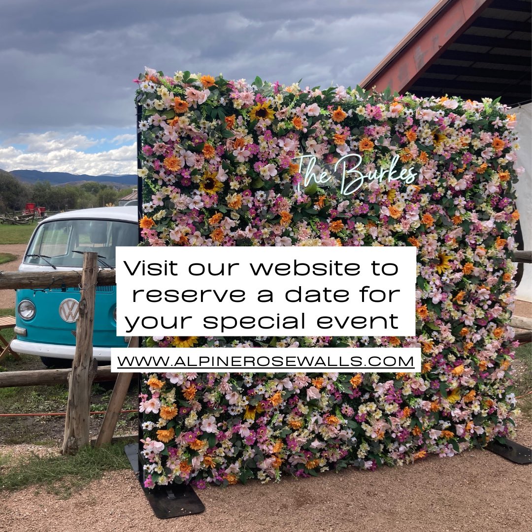 Bright Emily tweet media