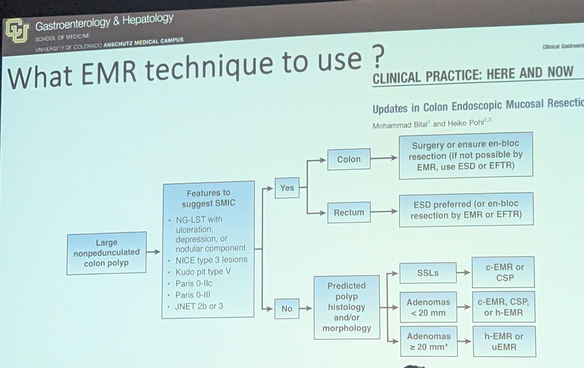 Masterclass in polypectomy by the one and only <a href="/BilalMohammadMD/">Mohammad Bilal, MD</a> at the #WISE2025 <a href="/WVU_GI/">WVU GI Fellowship</a>.  Amazing as always.  So thankful for all your guidance and mentorship in GI and in life.