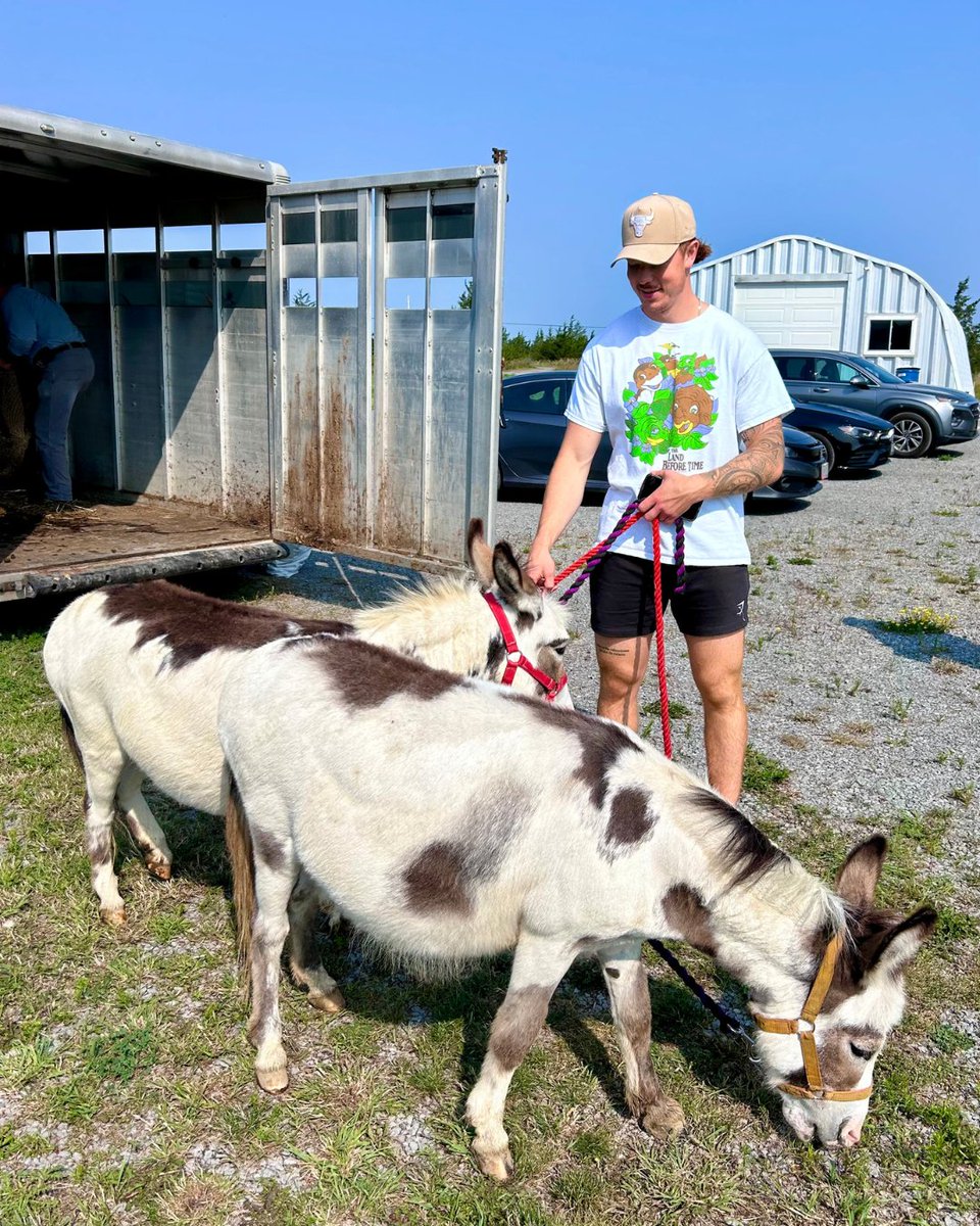 BellevilleSens's tweet photo. Happy #NationalPetDay from @D_sebrango3 and his donkeys! 😁 https://t.co/NCZDFhe24c