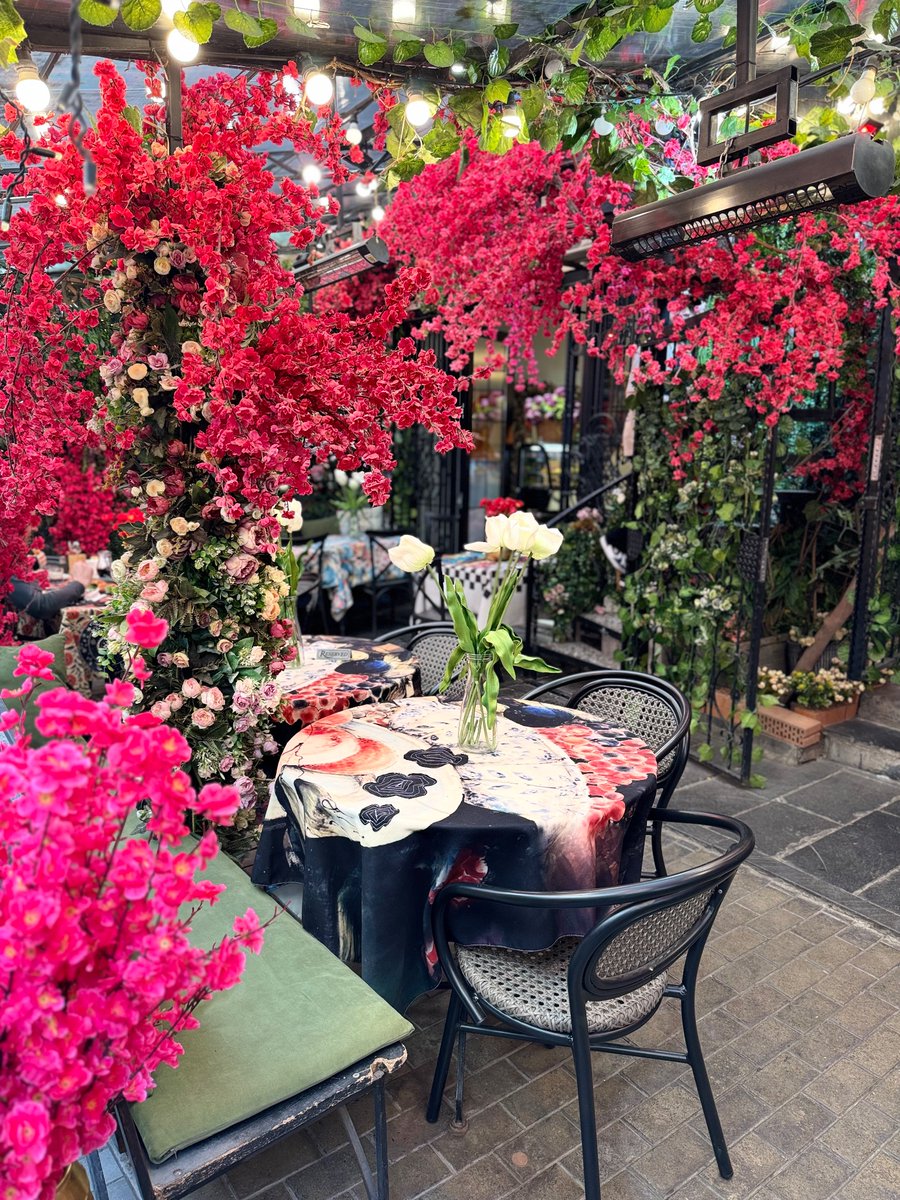 Гамаржоба экан 

Яна саёҳатга чиқдим)