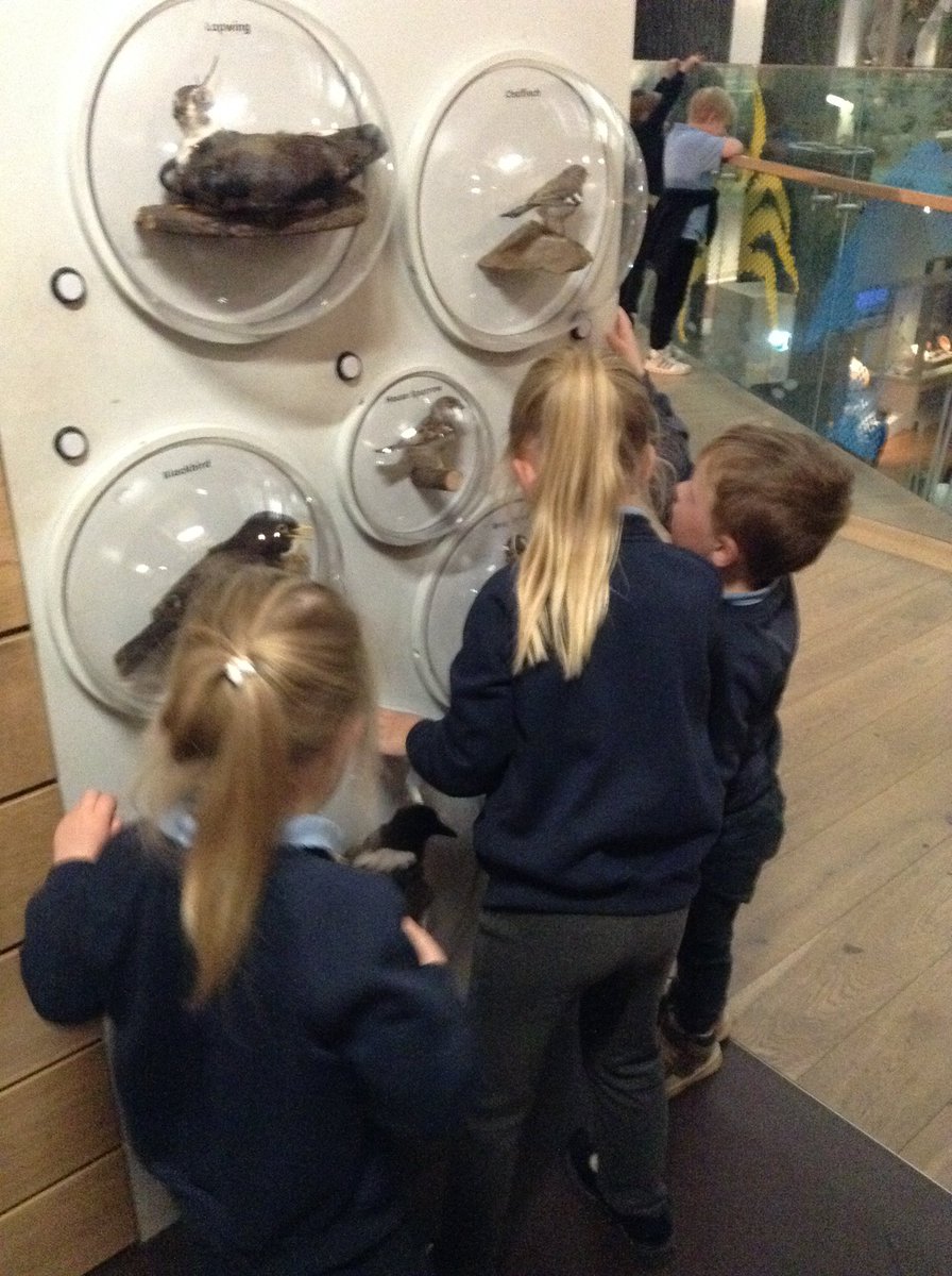 EllinghamCofE's tweet photo. Early Years and KS1 pupils were awesome @GNM_Hancock They were given habitat resource bags to explore the fantastic natural history exhibits. https://t.co/wiPITBIY98
