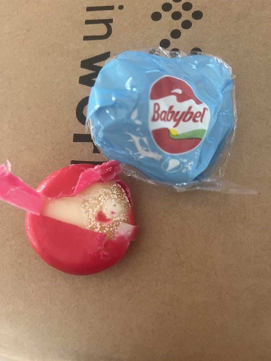 Amber Evans 🐳 tweet media