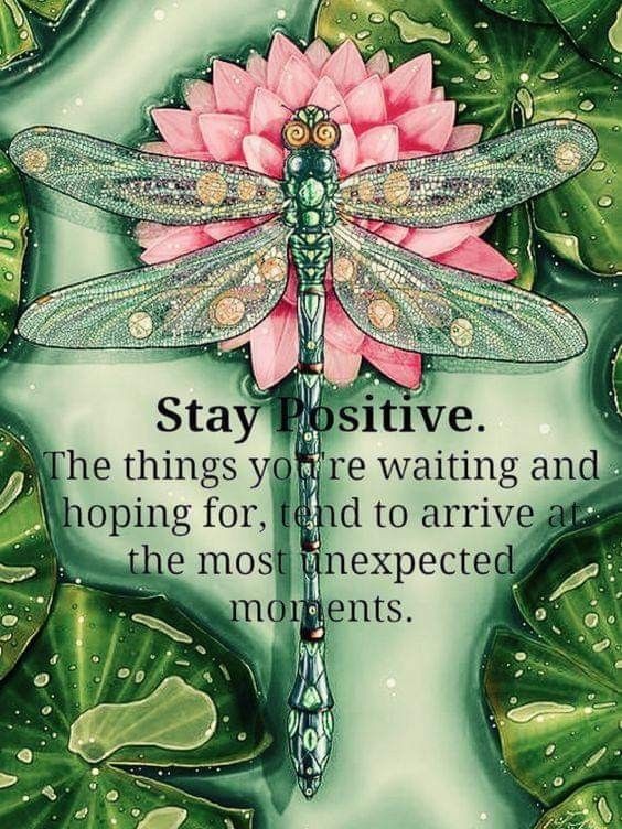 POSITIVITY (@positivitysaid) on Twitter photo 