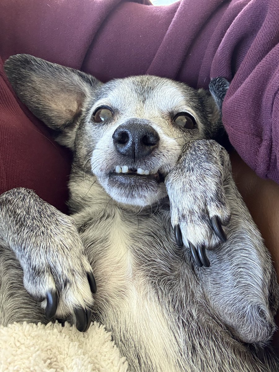 in optimal hugging position. who’s first?