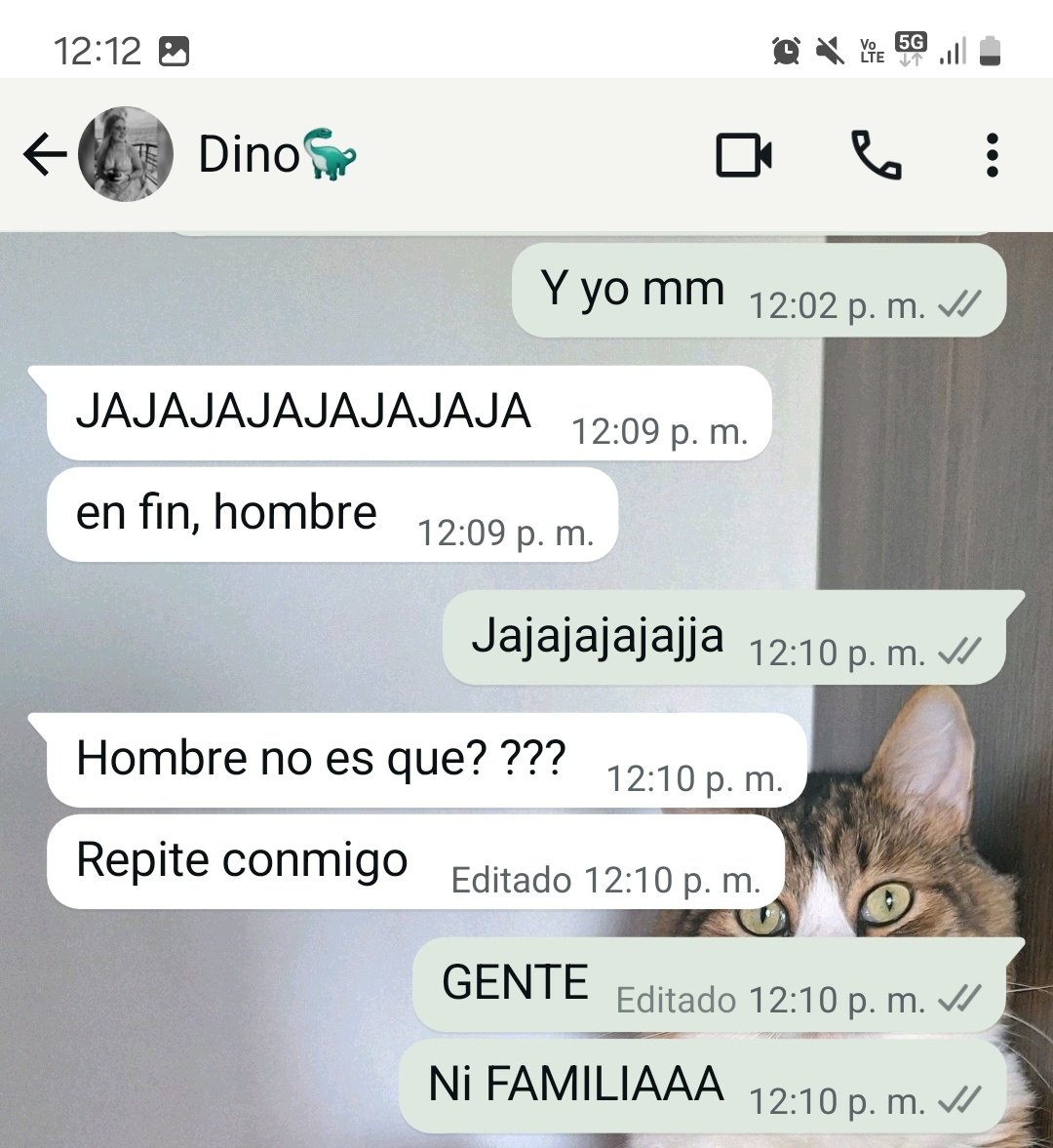 n_martinezs's tweet photo. No entenderían la vibra. https://t.co/CdPYwaFovY