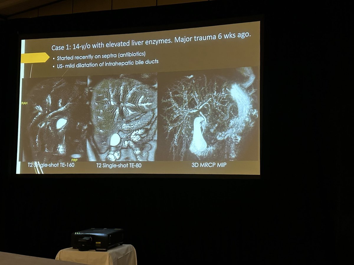 SKPedRadFellows's tweet photo. At #SPR2025 #SPR25 in Honolulu, Hawaii, enjoying the unknown cases session presented by great teachers, including our faculty Drs Govind Chavhan and Samantha Gerrie @govindchavhan https://t.co/QIIcxlelNS