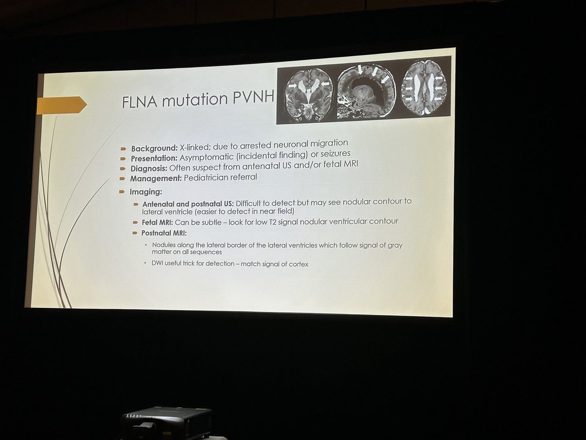SKPedRadFellows's tweet photo. At #SPR2025 #SPR25 in Honolulu, Hawaii, enjoying the unknown cases session presented by great teachers, including our faculty Drs Govind Chavhan and Samantha Gerrie @govindchavhan https://t.co/QIIcxlelNS