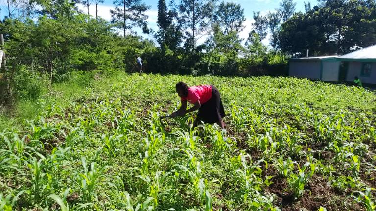 KPL Women Articulation tweet media