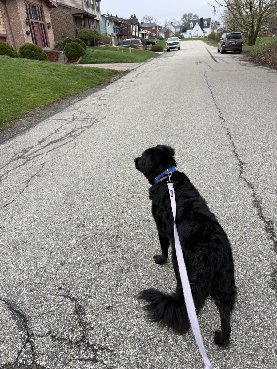 Just Georgee 2020 tweet media