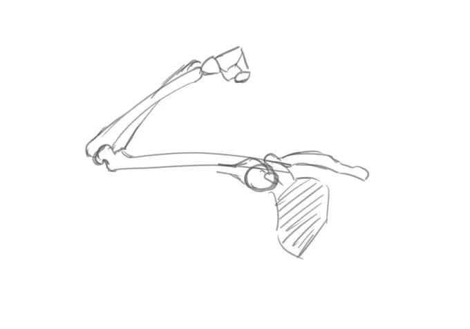 腕筋覚え書き 