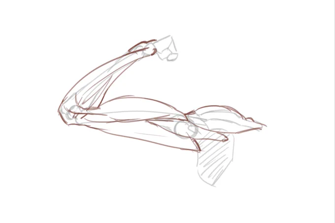 腕筋覚え書き 