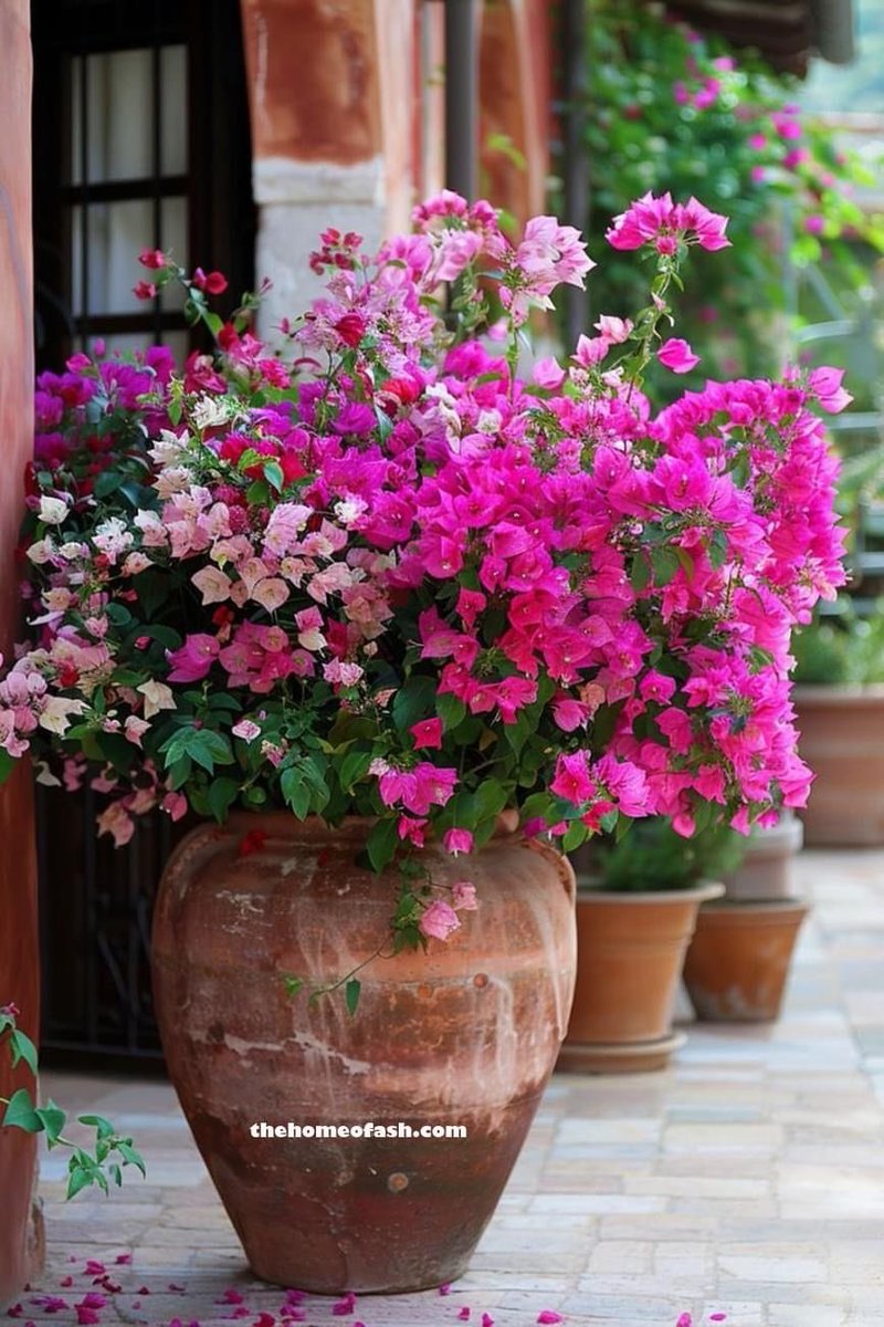 672Cilia's tweet photo. #ilModoPiuBello
di colorarsi di primavera. https://t.co/8h9avF5pzm