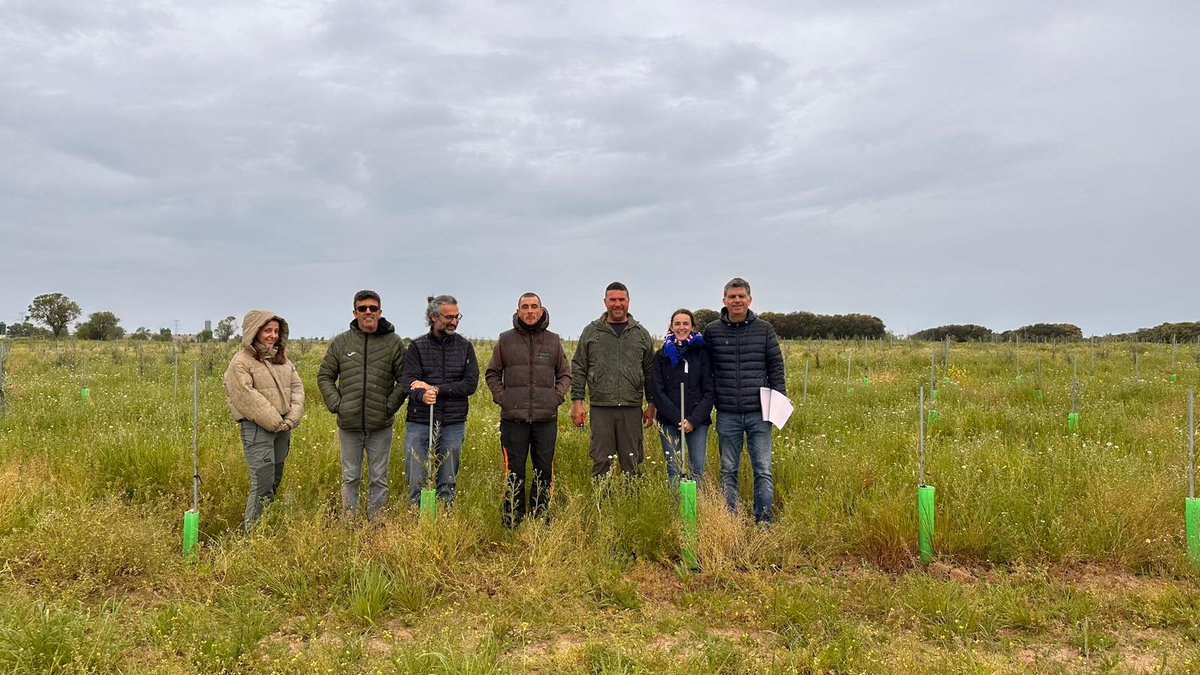 mejoradeolivo (@mejoradeolivo) on Twitter photo Buenos días de campo visitando ensayos en zonas de #Toledo junto a la finca experimental #LaHigueruela <a href="/CSIC/">CSIC</a> junto a mi compañero <a href="/raulrosanavarro/">Raul de la Rosa (personal)</a> <a href="/IAS_CSIC/">IAS-CSIC</a>, donde podremos ver el comportamiento de algunas de nuestras selecciones en zonas más frías Buenos días de campo visitando ensayos en zonas de #Toledo junto a la finca experimental #LaHigueruela <a href="/CSIC/">CSIC</a> junto a mi compañero <a href="/raulrosanavarro/">Raul de la Rosa (personal)</a> <a href="/IAS_CSIC/">IAS-CSIC</a>, donde podremos ver el comportamiento de algunas de nuestras selecciones en zonas más frías