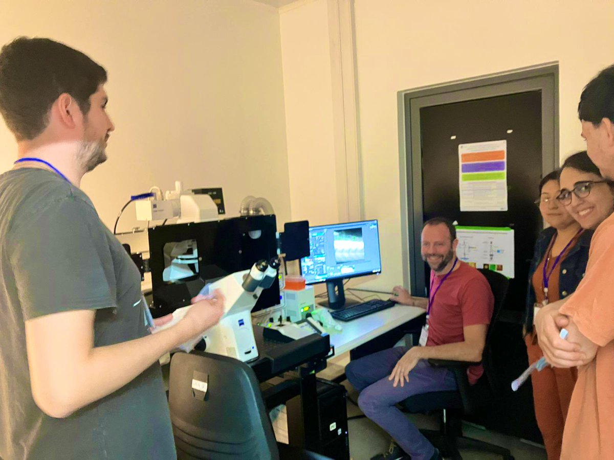 advanced_unit's tweet photo. En el último día del #CFMO2025 nos concentramos en #MicroscopiaConfocal 🔬 #AnálisisdeImagenes #FIJI 🖥️ https://t.co/psBDl4xxFh