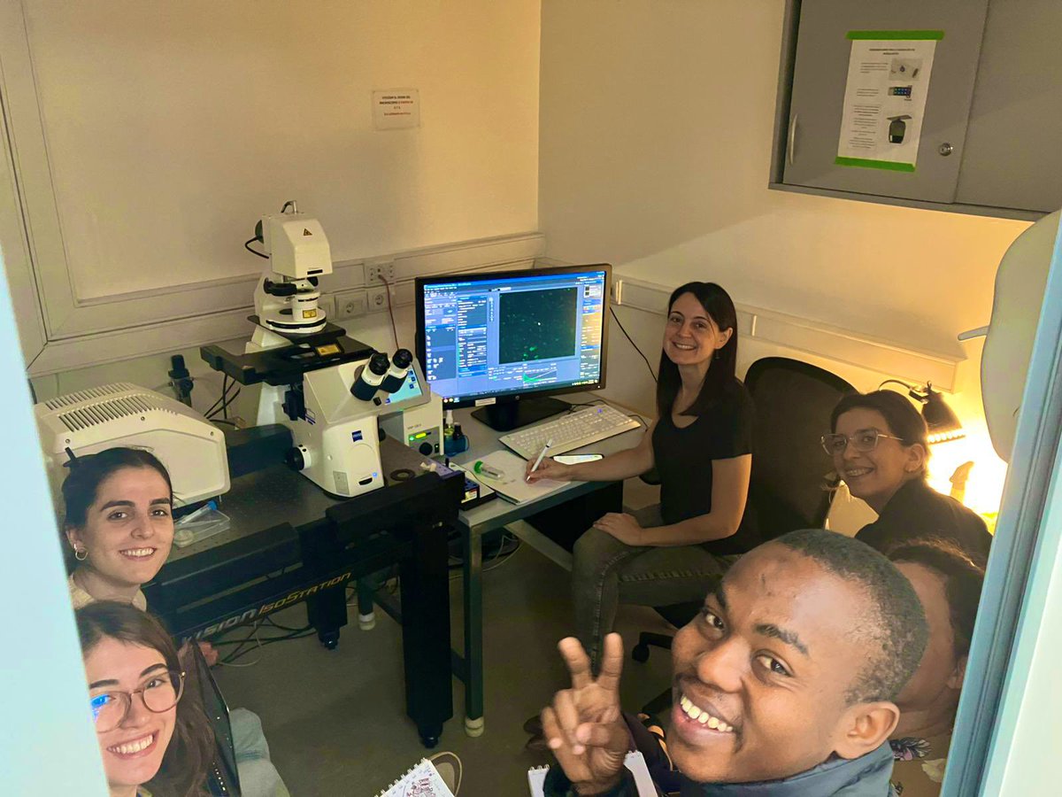 advanced_unit's tweet photo. En el último día del #CFMO2025 nos concentramos en #MicroscopiaConfocal 🔬 #AnálisisdeImagenes #FIJI 🖥️ https://t.co/psBDl4xxFh