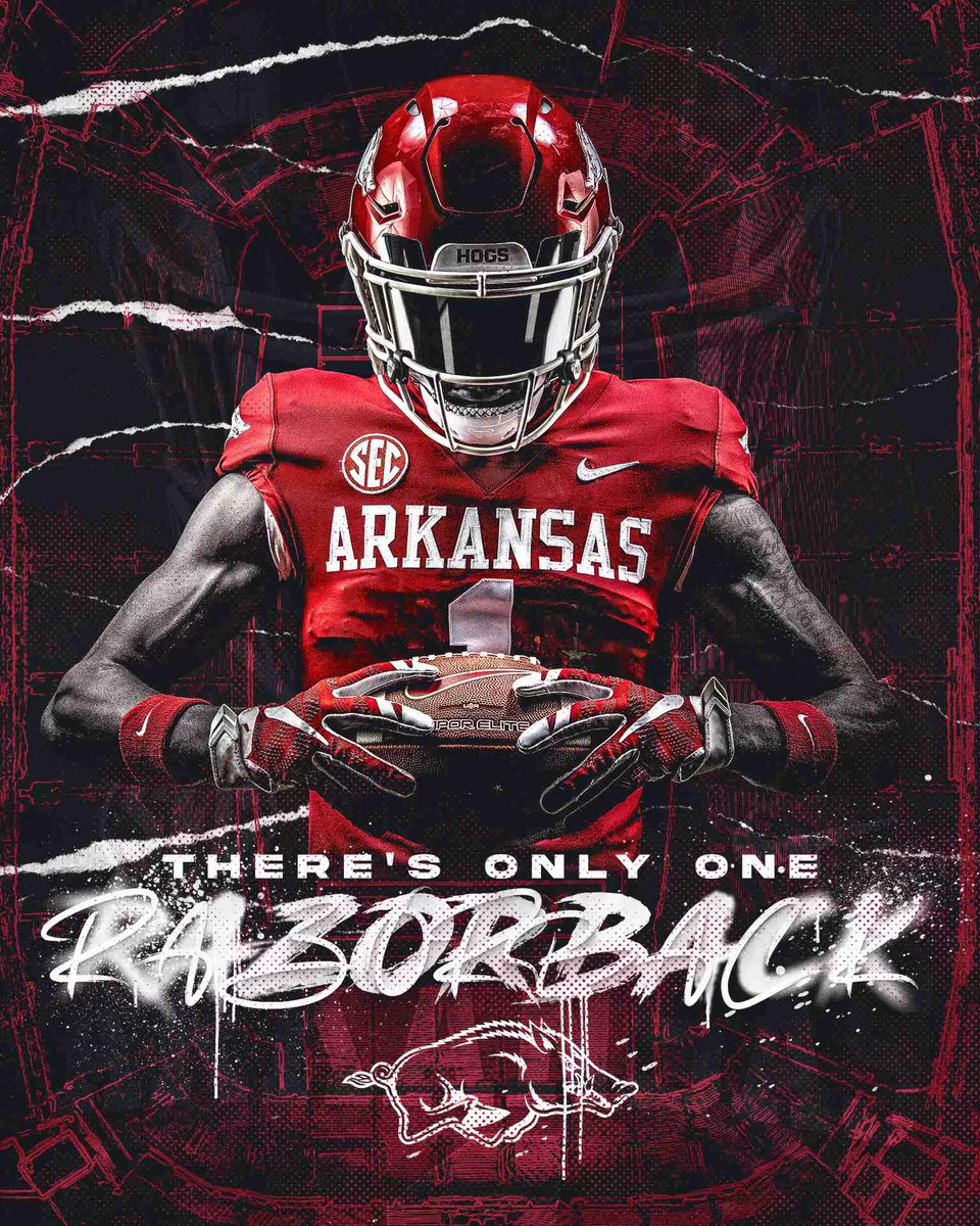 🐗🐗