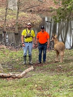 MidAmCarpenters's tweet image. Another successful 3D Bow Shoot is in the books for our Southern Illinois region. It was a great day of fellowship for our sportsmen, all for a great cause supporting the scholarship fund for our members' kids!
#Local662 #UnionProud