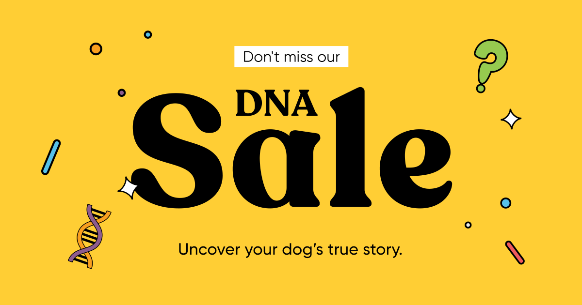 The DNA Sale is here! 🧬 🐶 🎉 
Ever wondered what’s hiding in your dog’s DNA? Don't miss your chance to save up to $74 on Embark Dog DNA Tests.

bit.ly/4cy2U9g