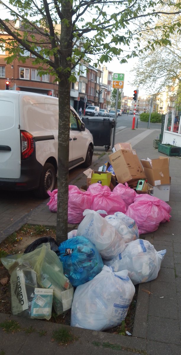 Brussels is beautiful in spring when the rubbish trees are out in full bloom.
