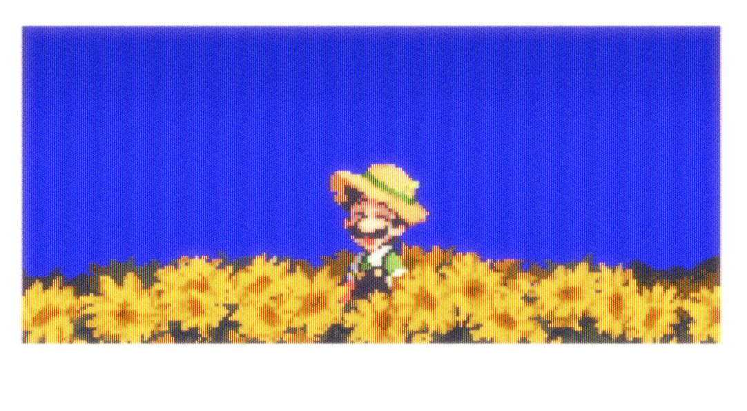 WatsonShan9062's tweet photo. 🌻 https://t.co/OOKin3LZMC