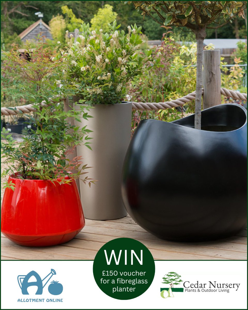 allotmentonline's tweet photo. NEW COMPETITION!

Enter for the chance to WIN £150 Voucher to spend on a Fibreglass Planter from Cedar Nursery - Plants and Outdoor Living!

Please ❤️, follow, tag, RT and enter on the link:

https://t.co/G8qoWAo6iq

#win #competition #planters https://t.co/ngzhzVsyOS