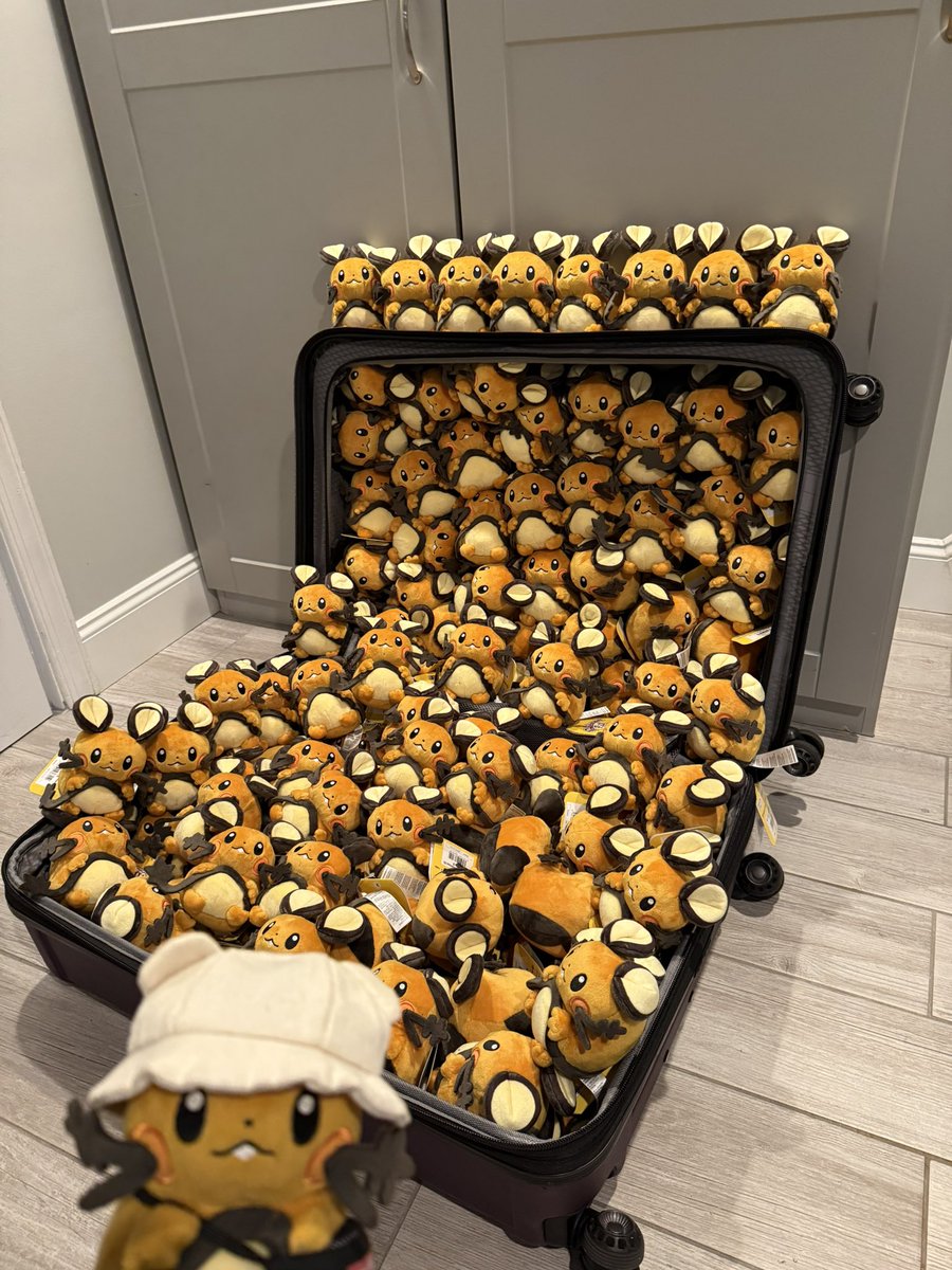 dedizzle702's tweet photo. Goodmorning!! 🧡🐹🥰✨

My Dedennes heard that I was leaving for Japan in 5 days, so they all gathered in my suitcase to try to come along 😆🐹🐹🐹🐹🧡🧳✈️🇯🇵 https://t.co/RiYMcFnl4g