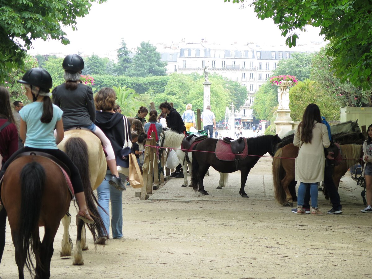LeParisien_75's tweet photo. « Quelle mascarade ! » : interdites en début d’année, les balades à poney déjà de retour dans les bois de Paris
➡️ https://t.co/6cUYcX1GUk https://t.co/8CqqByS3XK