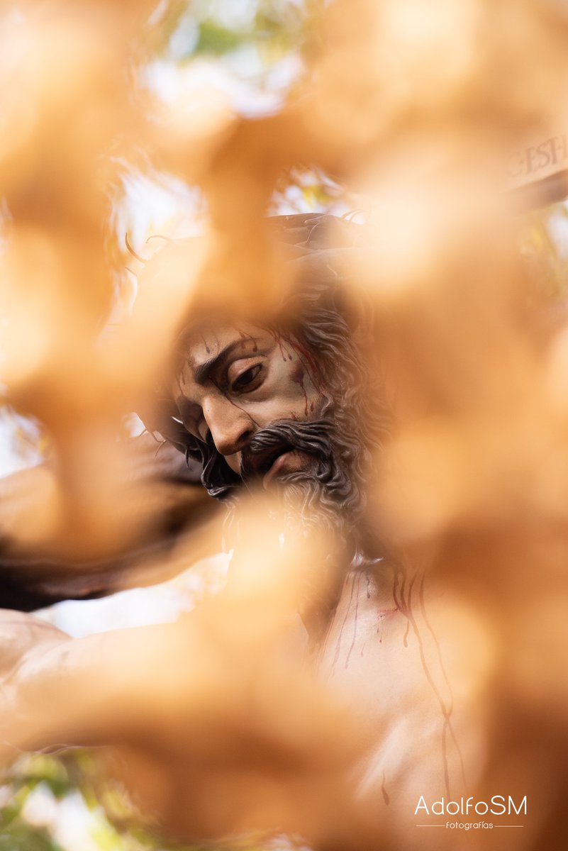 Todas las miradas acaban en Él <a href="/pazmiseroch/">Paz y Misericordia</a> #APPazyMisericordia