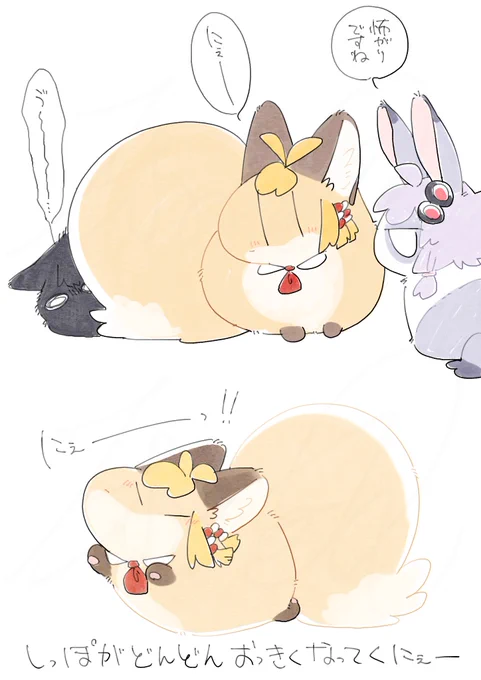 にゃーまいとチェビマキにゃんこの対面モフマキちゃんのしっぽがどんどんおっきくなってる話 