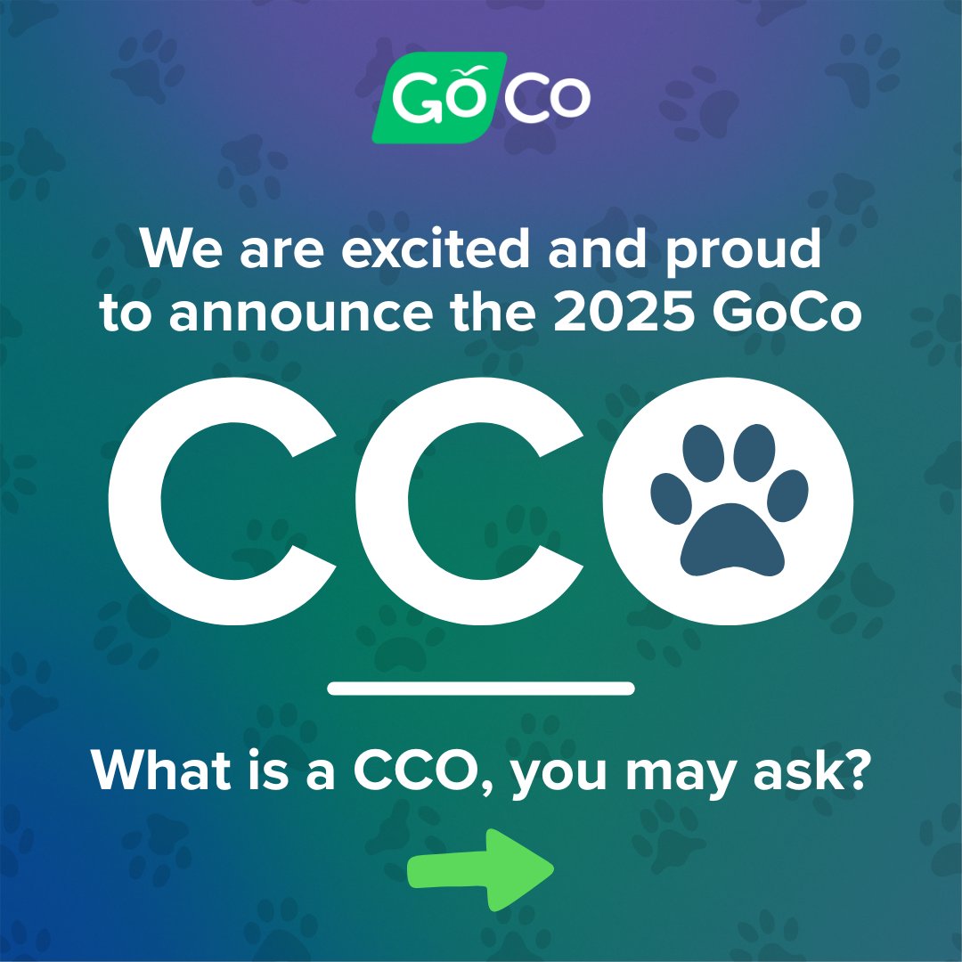 GoCo.io tweet media