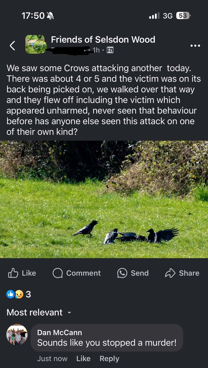 I won Facebook today.