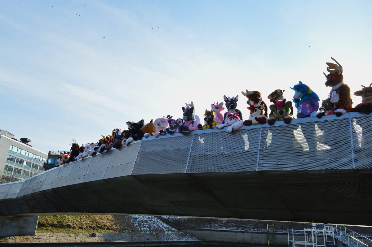 Deer shenanigans ~