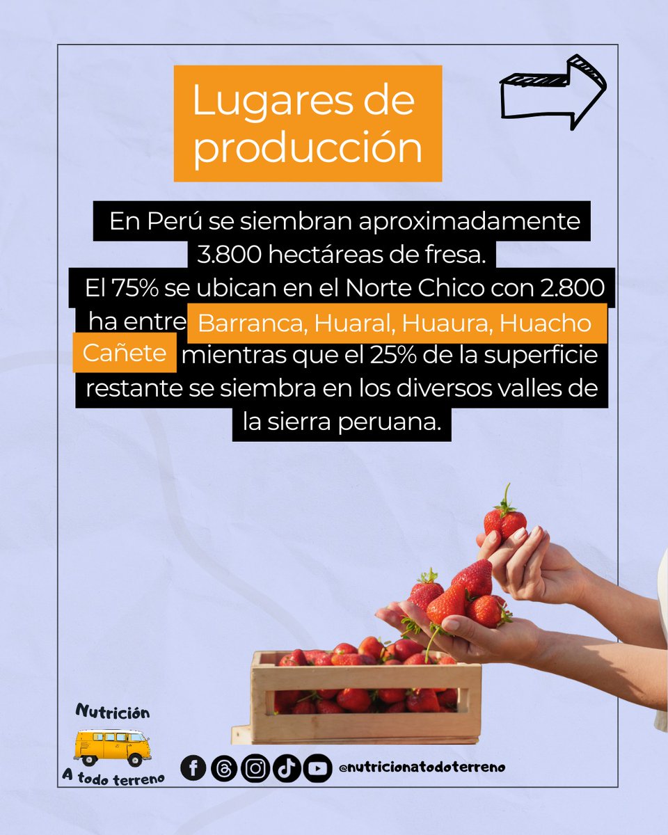 nutatodoterreno's tweet photo. Se produce en todo el Perú pero la mayor parte proviene del norte chico. Es usada ampliamente en la industria alimentaria estando presente en una gran variedad de productos de pastelería, néctares, bebidas lácteas, etc https://t.co/Ja7U5Z7frF