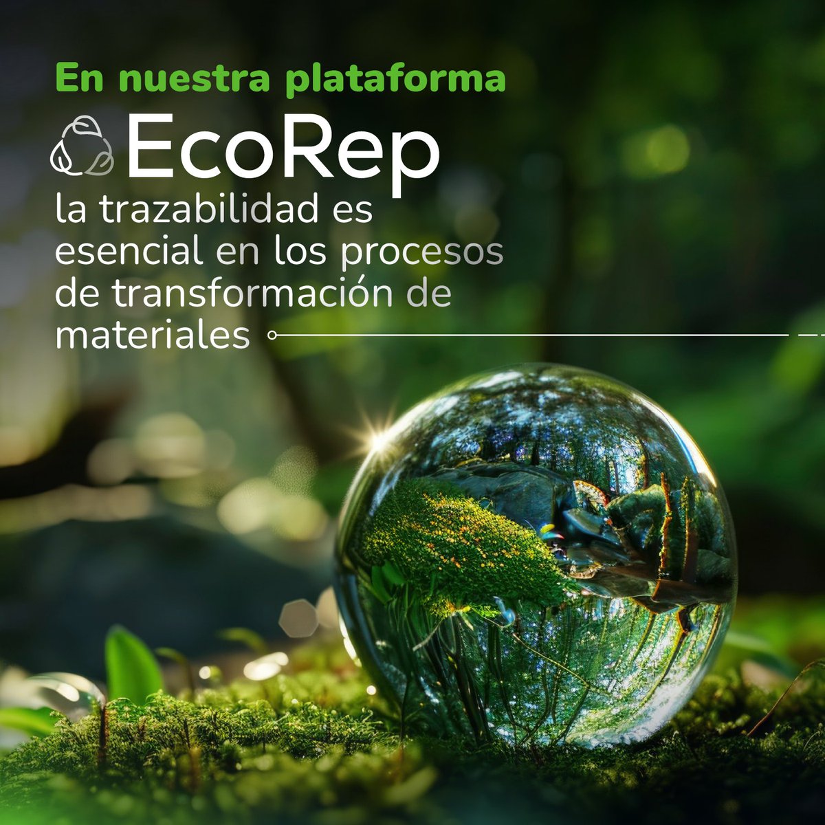 Ecoclic_'s tweet photo. #EcoRep es nuestra plataforma de la línea ambiental de EcoClic, enfocada en el registro y certificación de material transformado. Cada certificado cuenta con la validación de entidades verificadoras. 🙌
 
Escríbenos a info@ecoclic.com para ser parte de #EcoRep. https://t.co/HHSKg9pdq3