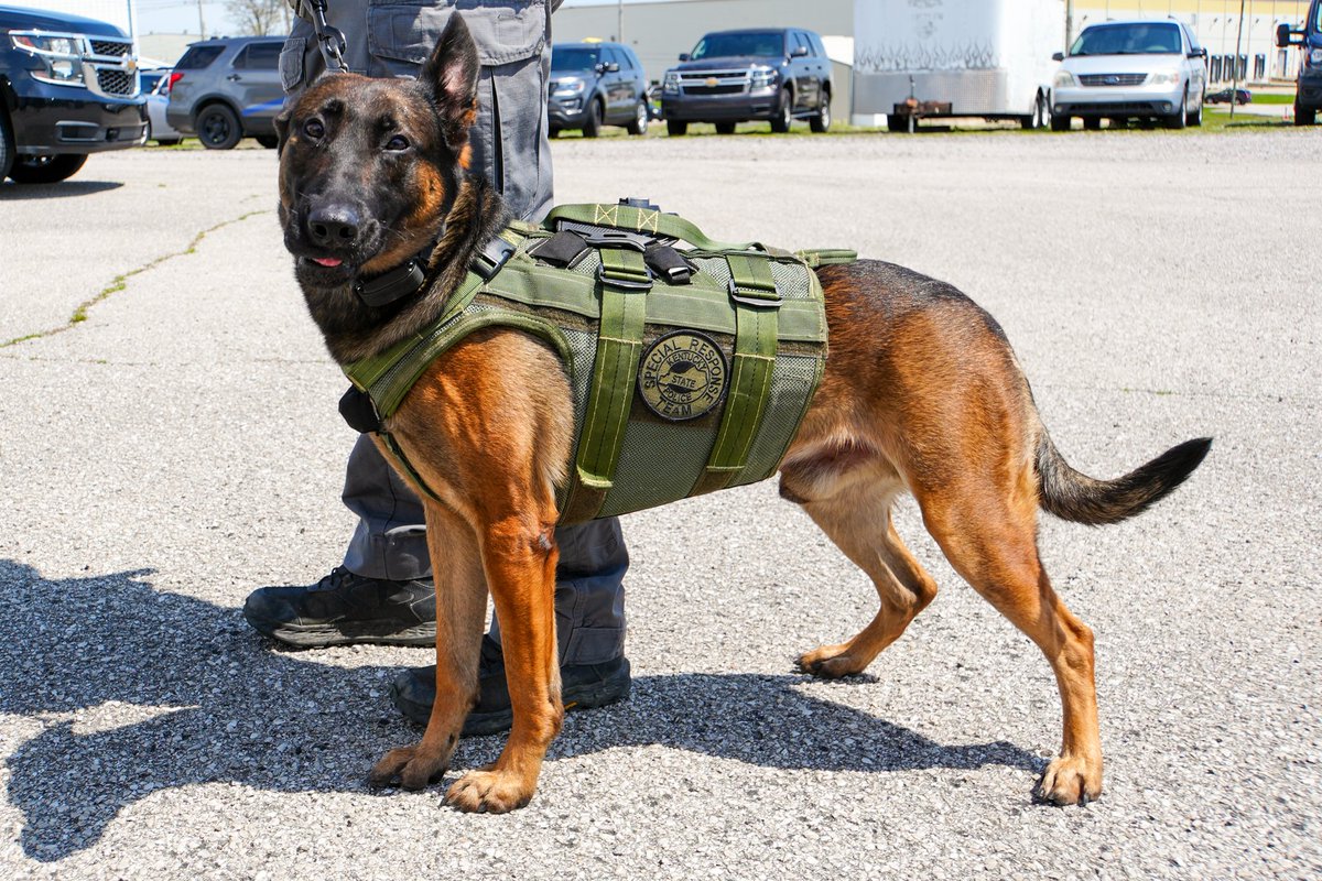 KSPFoundation's tweet image. 🐾 Big thanks to Debbie Irwin of Louisville for donating $20K to the KSP Foundation to outfit all @kystatepolice K9s with custom ballistic harnesses from Canine Tactical.
“I wanted to help keep the dogs safe who help keep us safe.” #ThankYou