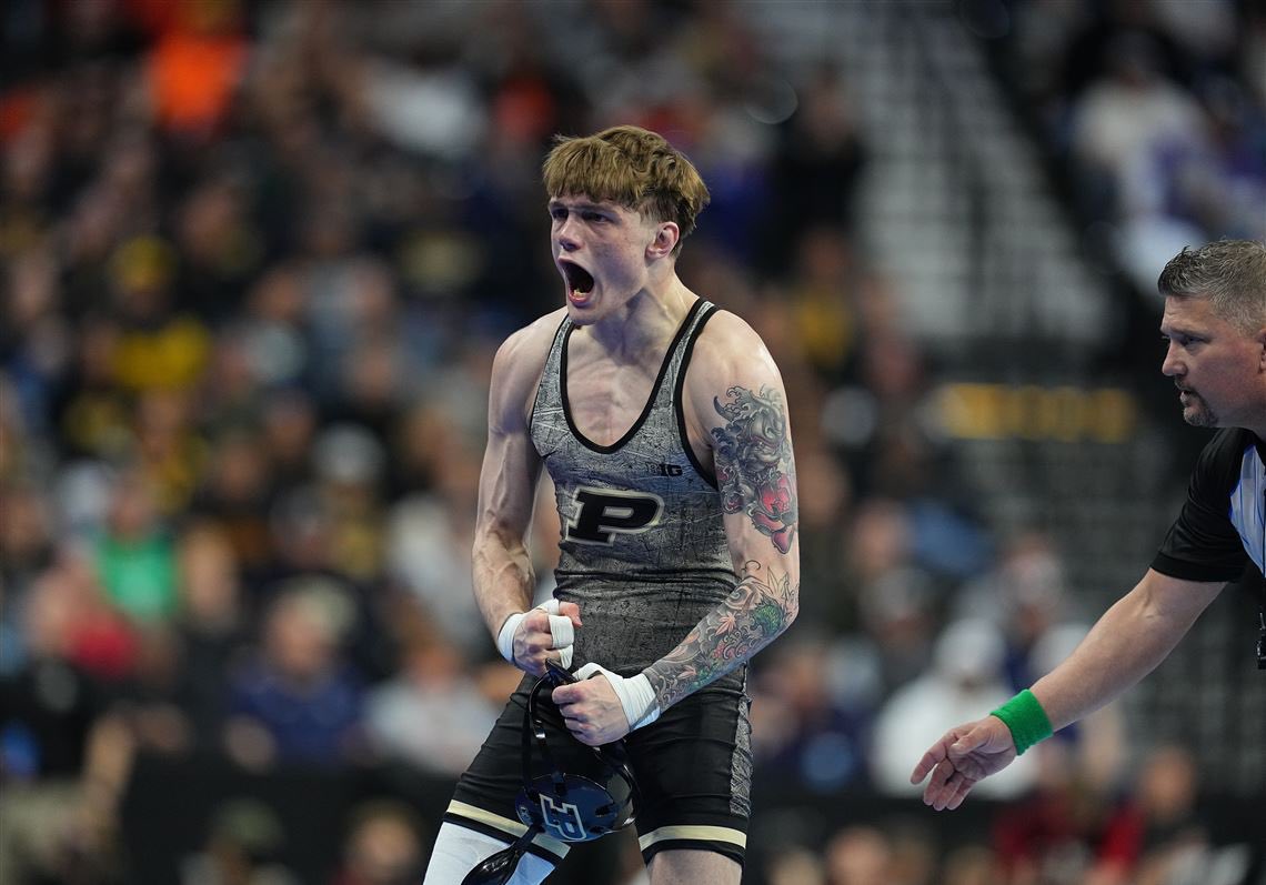 Elite Athletix Training & Development tweet media