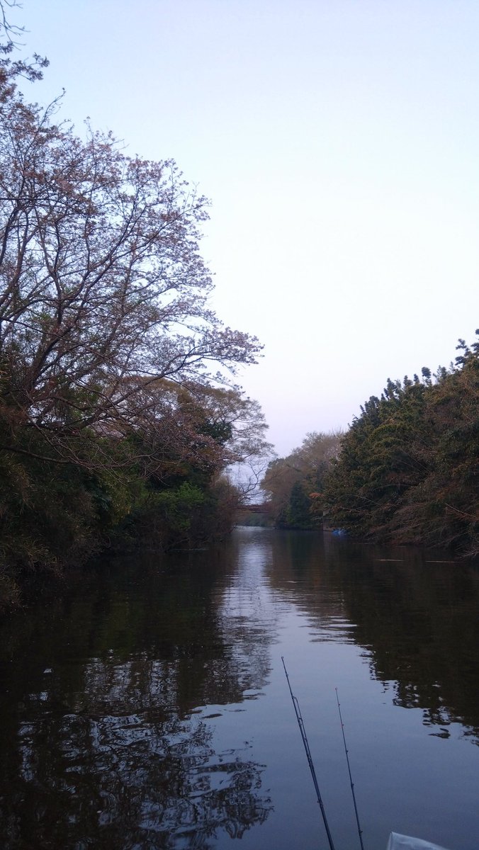 2025年本気の日
#長門川
#将監川
#嫌な予感