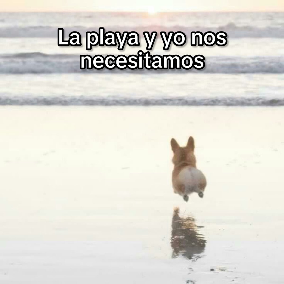 Guarromantico_'s tweet photo. Nos necesitamos. https://t.co/dREwlFPGPT