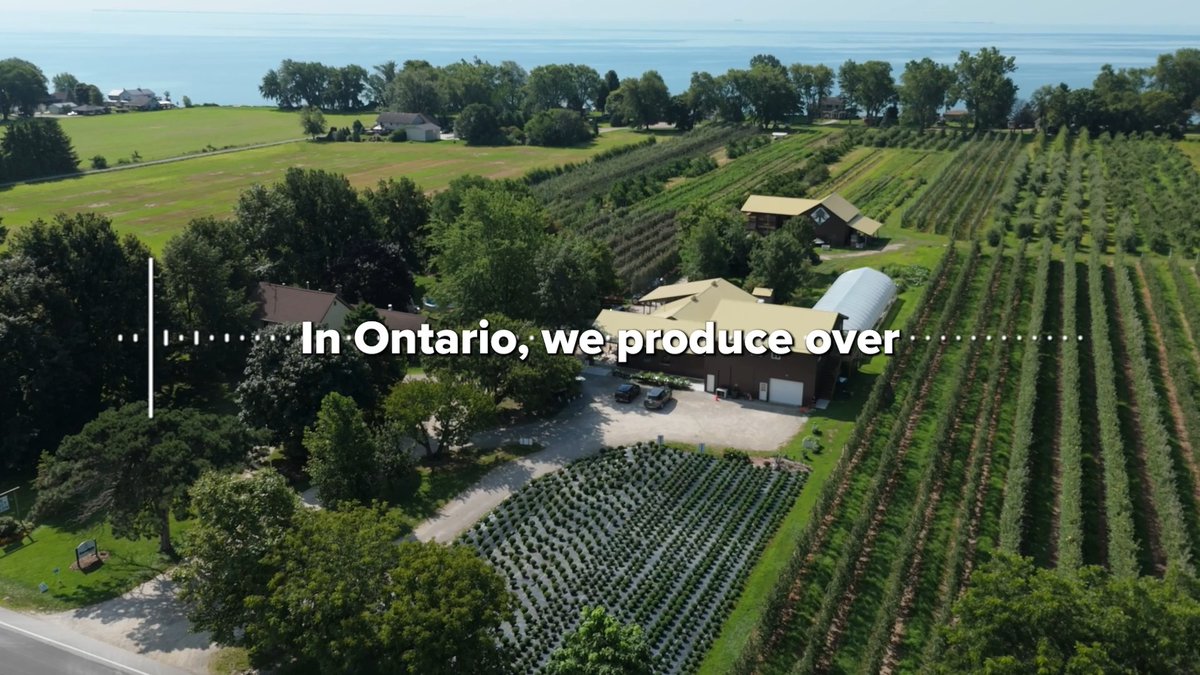 Ontario Federation of Agriculture