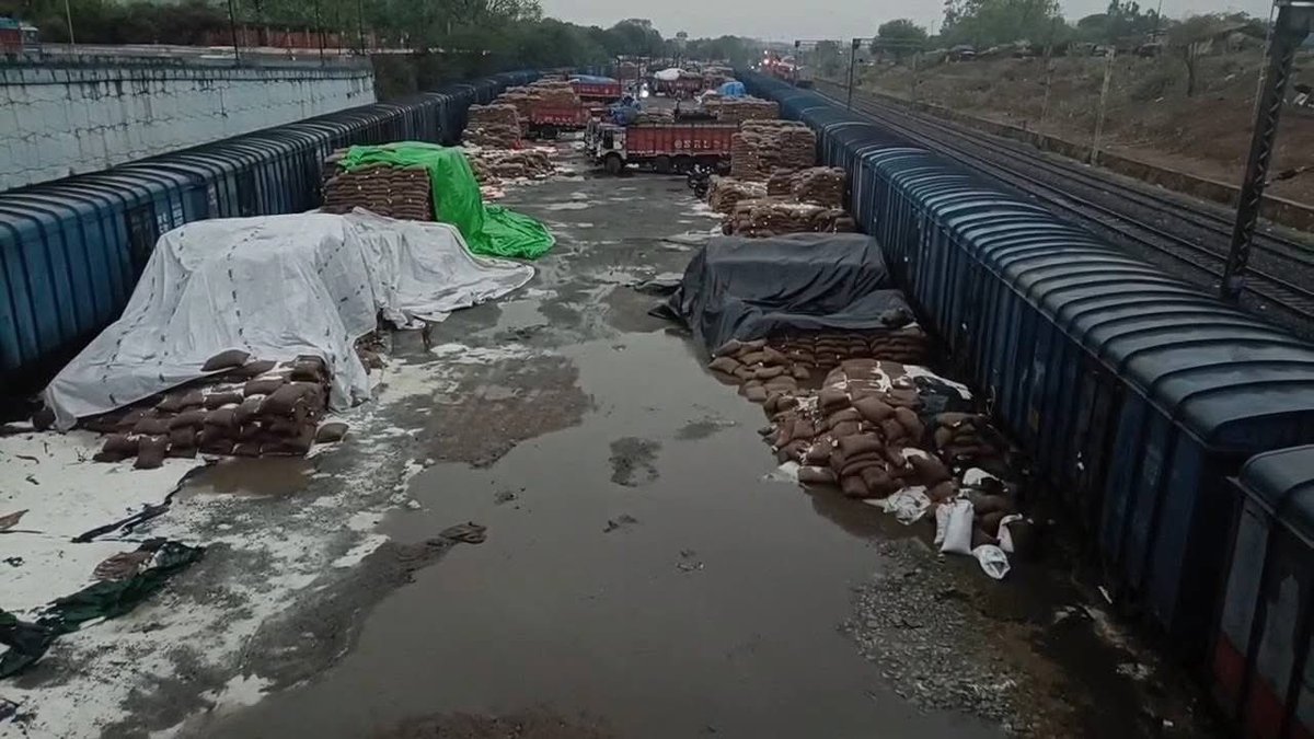 PankajSinghUN's tweet image. Thousands of sacks of food grains destroyed in District Dhanbad by negligence of @FCI_India staffers and competent authority of district Dhanbad in Jharkhand due to rain on 10-04-2025.
These food grains were meant to be distributed to the poorest.
@KanoongoPriyank @India_NHRC