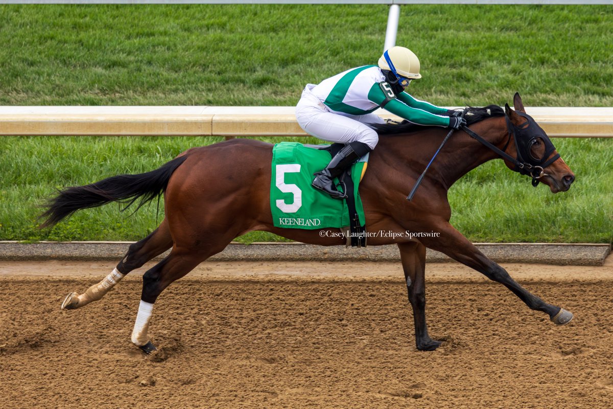 Casey Laughter (@casey_laughter) on Twitter photo Folk Song (Mor Spirit) and <a href="/sophiedoyle77/">Sophie Doyle</a> win R2 at #Keeneland for trainer <a href="/JWojczynski/">Justin Wojczynski</a> and owner <a href="/WhitePineTB/">White Pine Thoroughbreds</a>.
.
The 2yo colt was bred in Kentucky and sold at 2024 <a href="/FasigTiptonCo/">Fasig-Tipton</a> October for $17,000. Folk Song (Mor Spirit) and <a href="/sophiedoyle77/">Sophie Doyle</a> win R2 at #Keeneland for trainer <a href="/JWojczynski/">Justin Wojczynski</a> and owner <a href="/WhitePineTB/">White Pine Thoroughbreds</a>.
.
The 2yo colt was bred in Kentucky and sold at 2024 <a href="/FasigTiptonCo/">Fasig-Tipton</a> October for $17,000.
